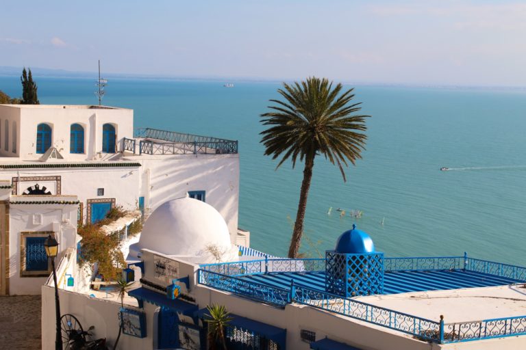 Su ürünleri yetiştiriciliğinde yeni ve yükselen bir bölge: Tunus